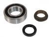 Radlagersatz Wheel Bearing Rep. kit:2121-2403080