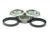 Radlagersatz Wheel Bearing Rep. kit:542350077